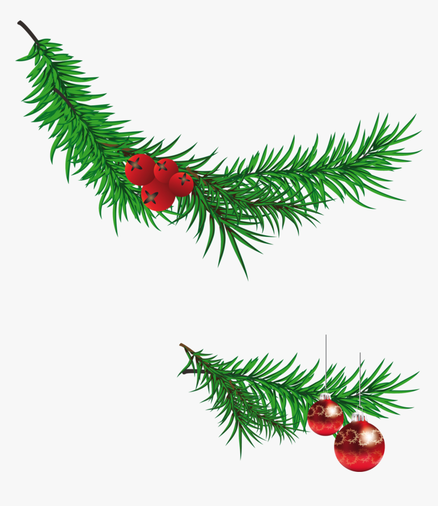Christmas Tree Branch Clipart, HD Png Download
