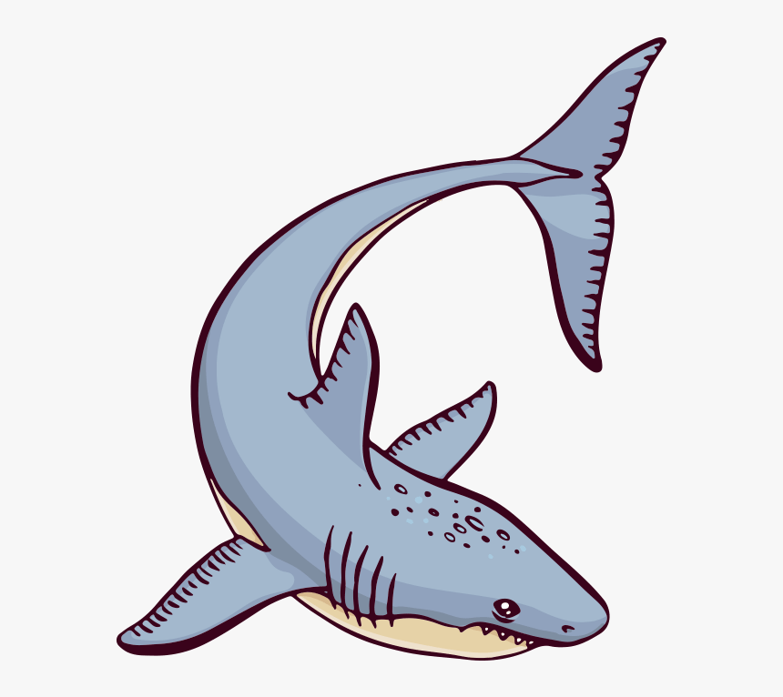 #shark #ocean #sea #cartoon - Great White Shark, HD Png Download