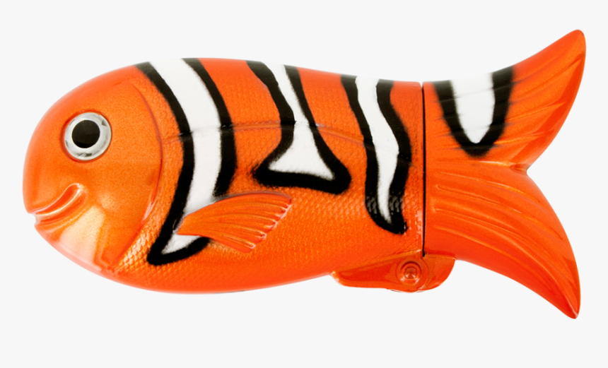 Clown Fish - Fish, HD Png Download