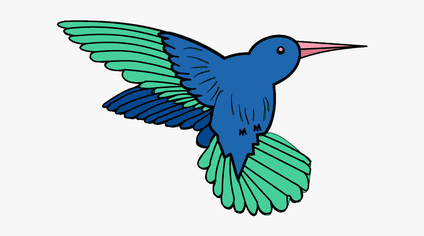 How To Draw Hummingbird - Hummingbird Drawing With Color, HD Png Download