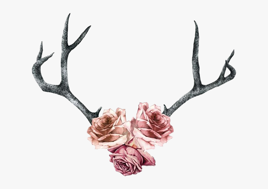 Clip Deer Antler Tattoo Horn - Deer Antler And Flower Tattoo, HD Png Download