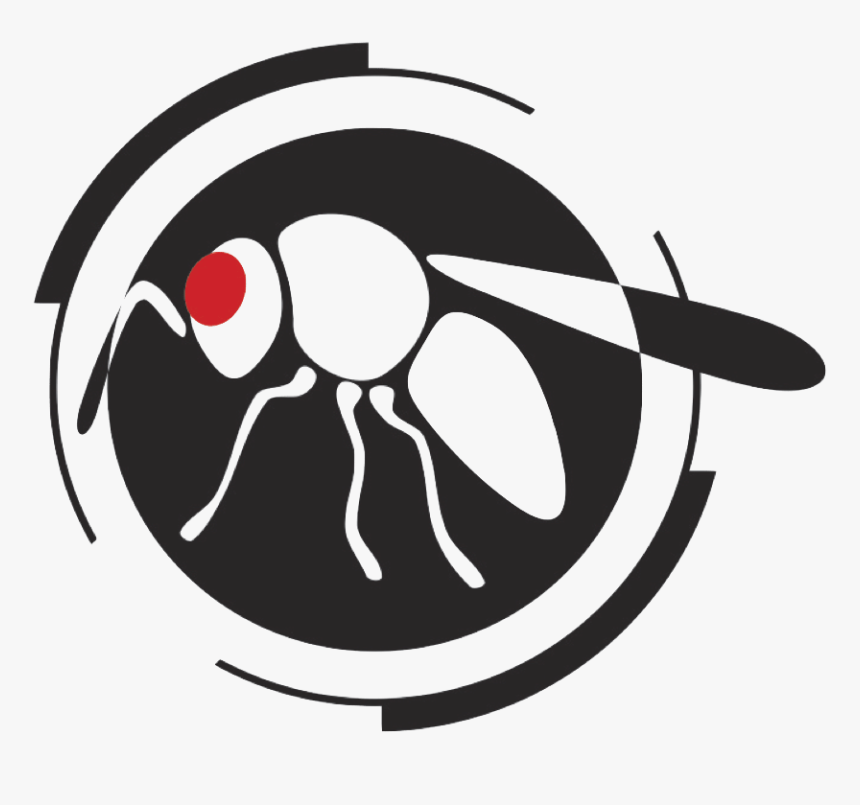 Illustration, HD Png Download