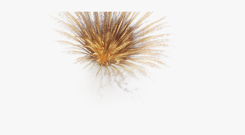 Fireworks, HD Png Download