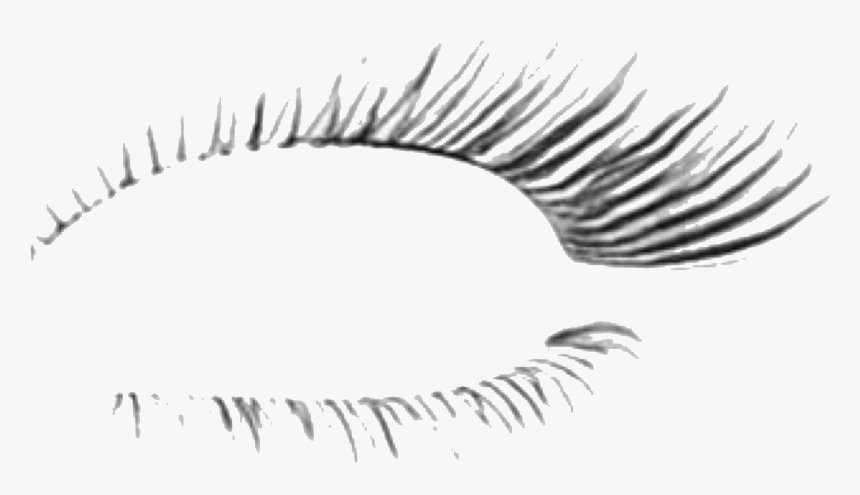 #eyelash #eye #beauty #makeup #eyes #eyemakeup #eyelashextension - Eye Shadow, HD Png Download
