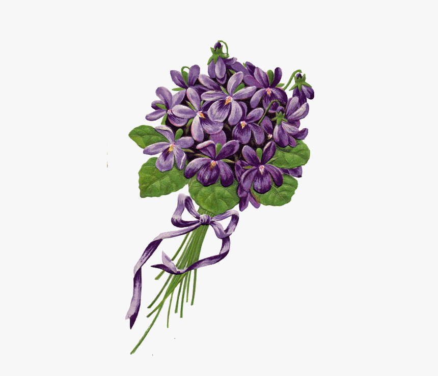 Violettes De Toulouse Fleurs, HD Png Download