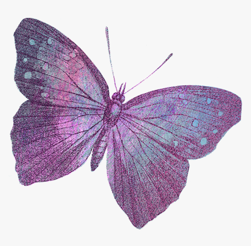 Holly Blue, HD Png Download