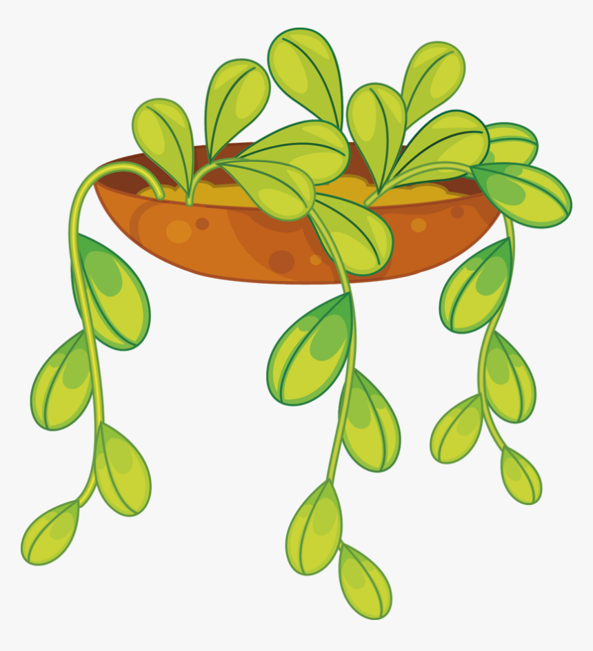 室内多肉植物绿植盆栽桌面绿植 - Potted Plants Vector, HD Png Download