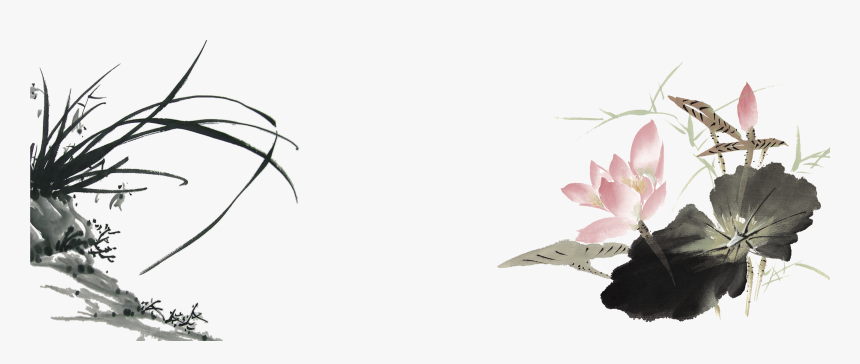 Orchids Drawing Ink, HD Png Download