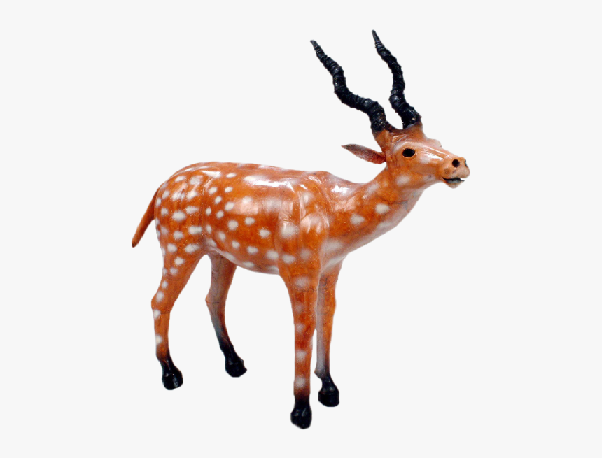 Deer - Reindeer, HD Png Download