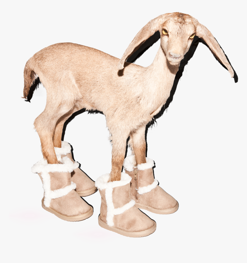 Goat, HD Png Download