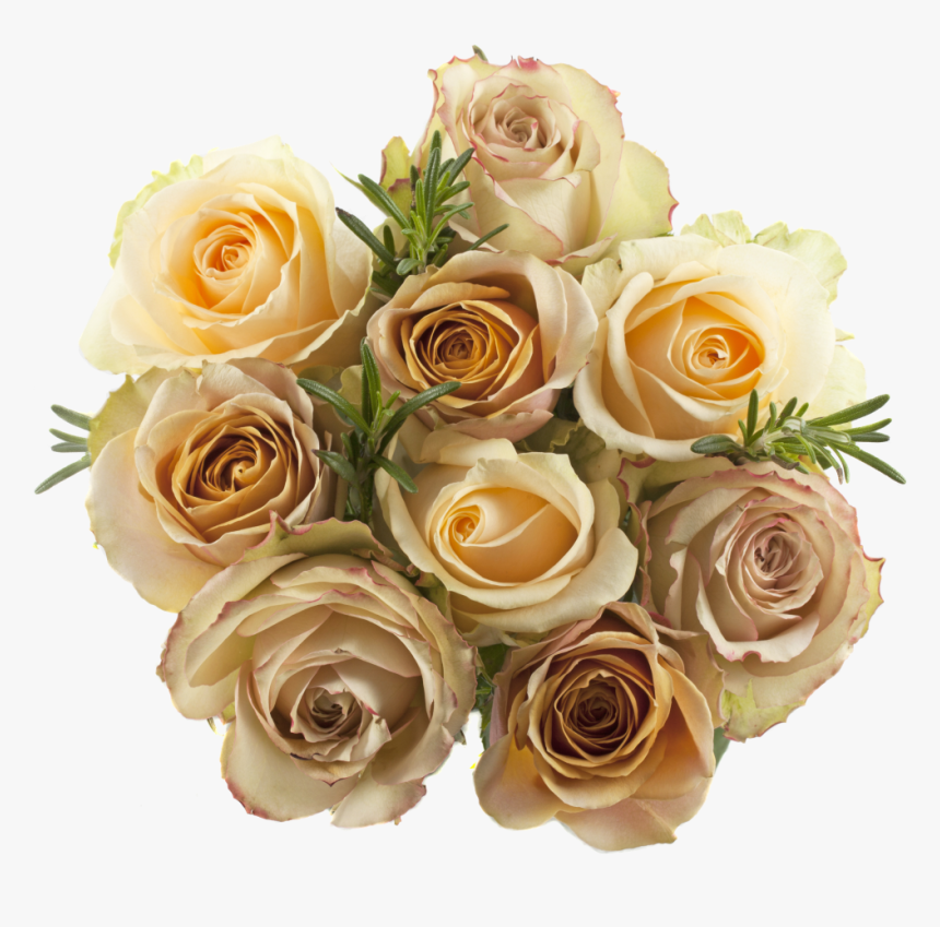 Garden Roses, HD Png Download