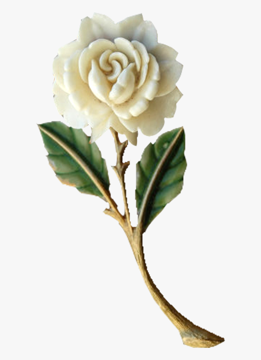 Rose Flower Kavithai In Tamil Best Flower Site