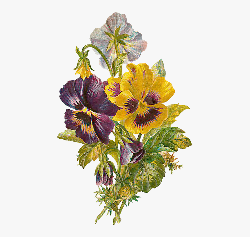Victorian Flowers, HD Png Download