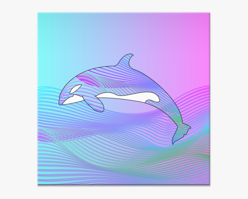 Azulejo O R C A De Mat Cvlcntna - Common Bottlenose Dolphin, HD Png Download