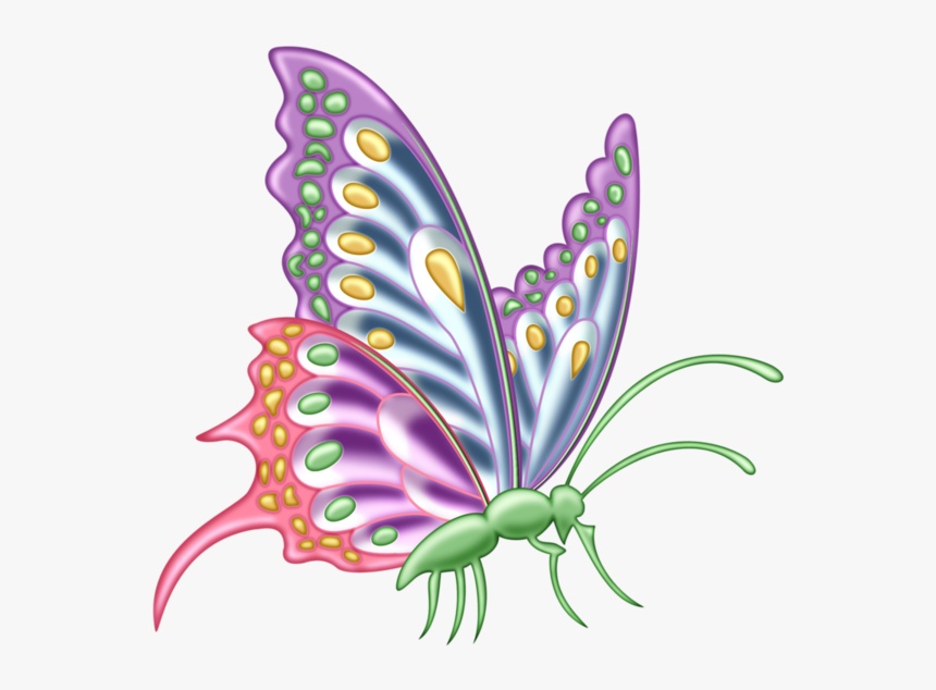 Butterfly Designs For Assignment, HD Png Download