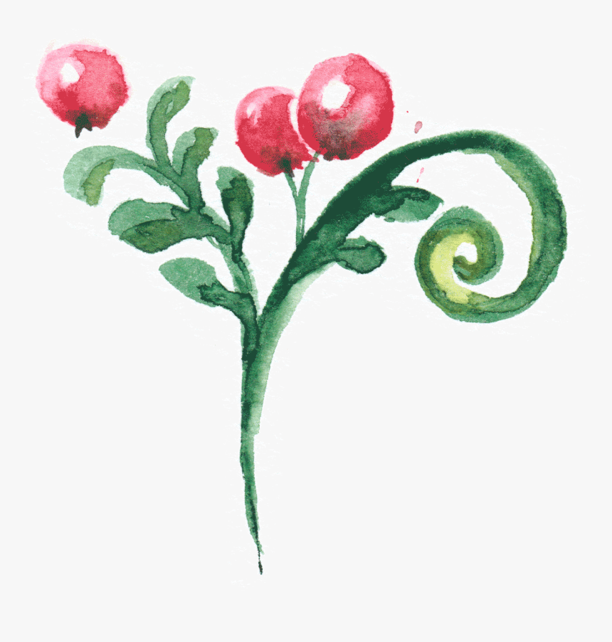 Cockscomb, HD Png Download