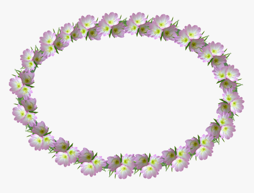 กรอบ รูป ดอกไม้ สีชมพู Png, Transparent Png