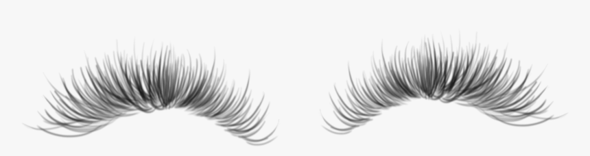 #eyelashes #eyelash #black #makeup #vkimjdv #freetoedit - Eyelash Extensions, HD Png Download