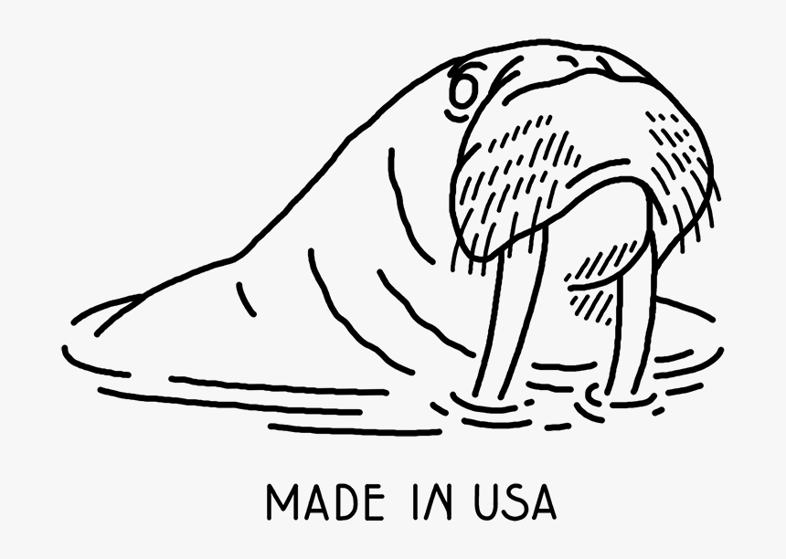 Walrus Drawing Transparent And Http - Sketch, HD Png Download