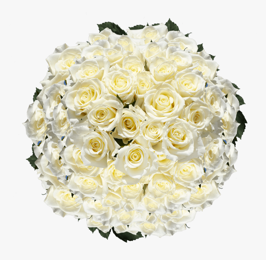White Roses Mother S Day Flower Specials Free Shipping - Floribunda, HD Png Download
