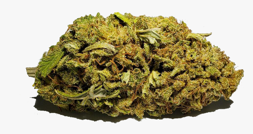 Moss, HD Png Download