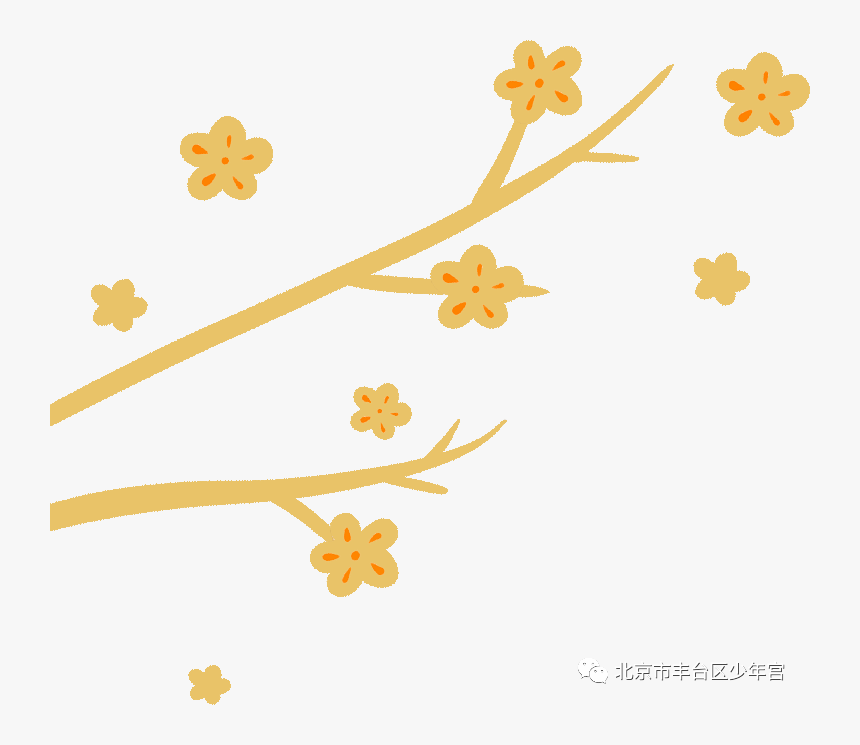 Meiko Honma, HD Png Download