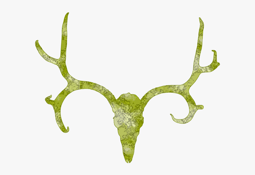 Deer Skull Antler Clipart Free Clip Art Images - Antler, HD Png Download