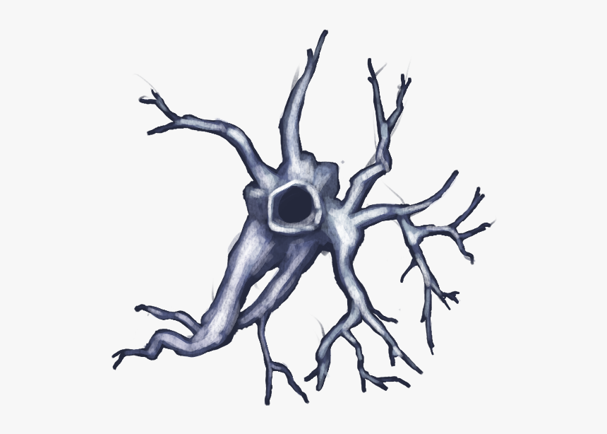 Np03 Roots01 20x20[nature, Outside, External, Environment,, HD Png Download