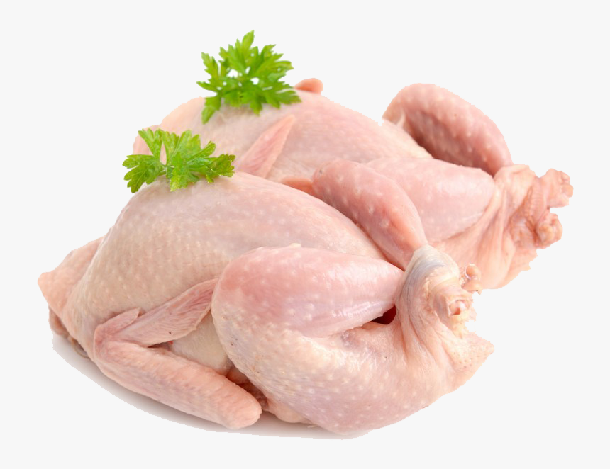 Chicken - Fresh Quail Png, Transparent Png , Transparent Png Image