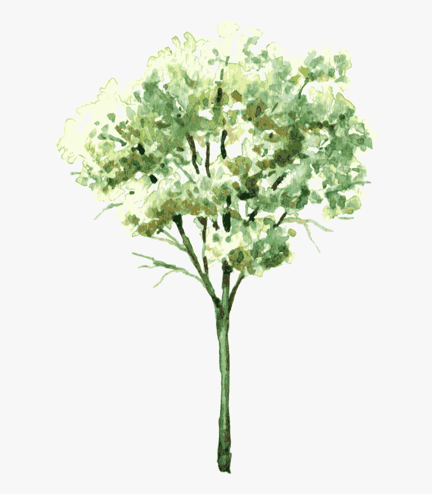 Banner Transparent Watercolor Painting Tree Trees - Watercolor Of Bushes, HD Png Download