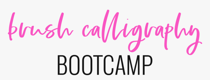 Brush Calligraphy Bootcamp Logo - Calligraphy, HD Png Download