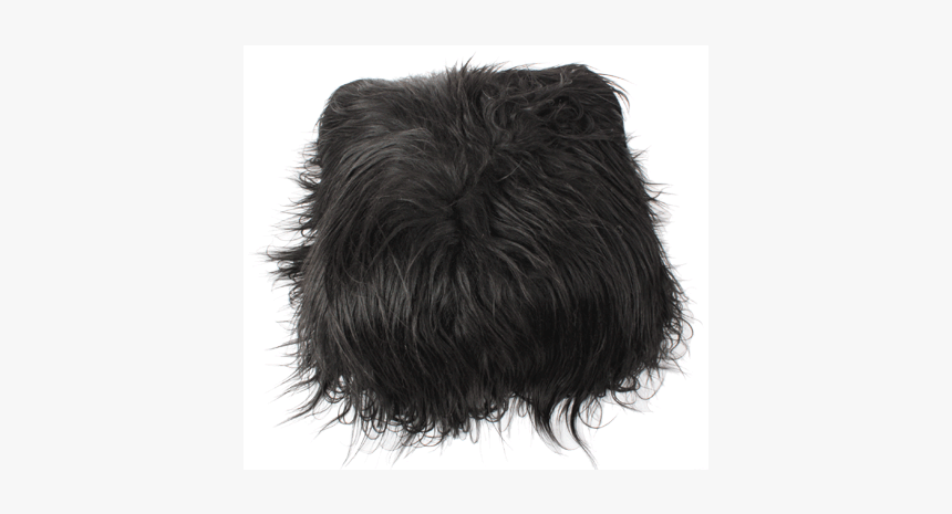 Pillow Icelandic Sheepskin Black 40x40cm 
 Id Cloud-689 - Lace Wig, HD Png Download