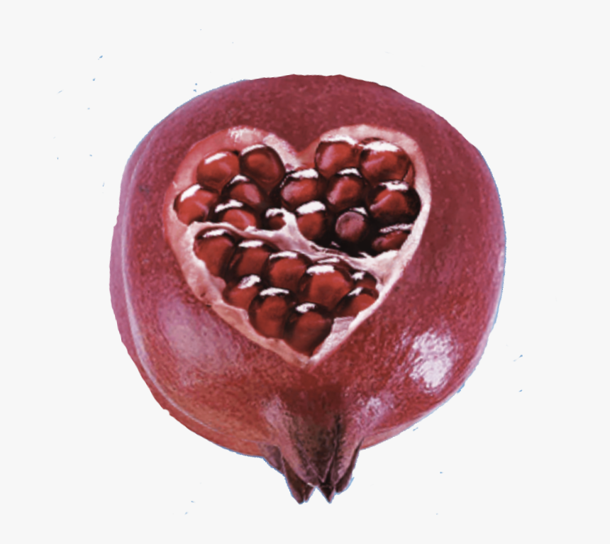 Elderberry, HD Png Download