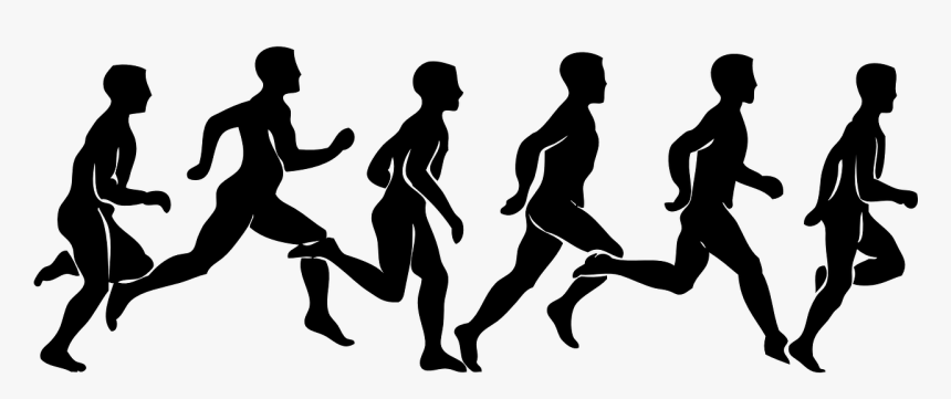 Running Linn County Lamb Wool & Fair First Choice Real - Wild Goose Chase, HD Png Download