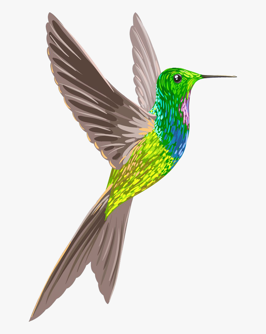 Колибри гусь хрустальный. Игрушка колибри. Колибри гусь хрустальный. Колибри гусь хрустальный. Центр города гусь хрустальный.