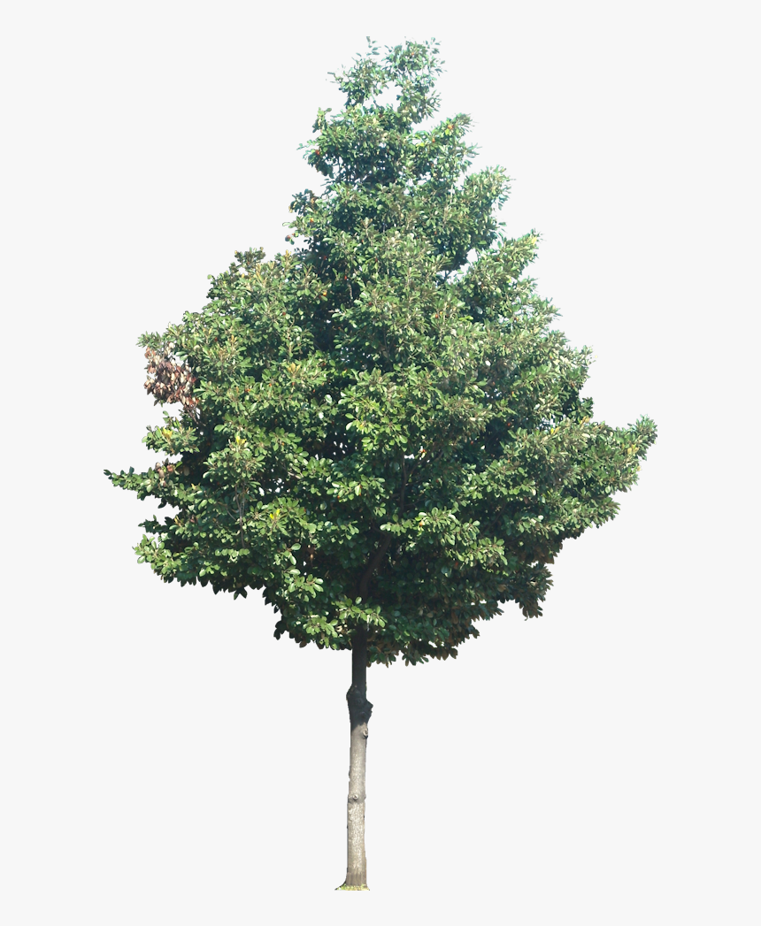 Urban Furniture Architecture Design, HD Png Download