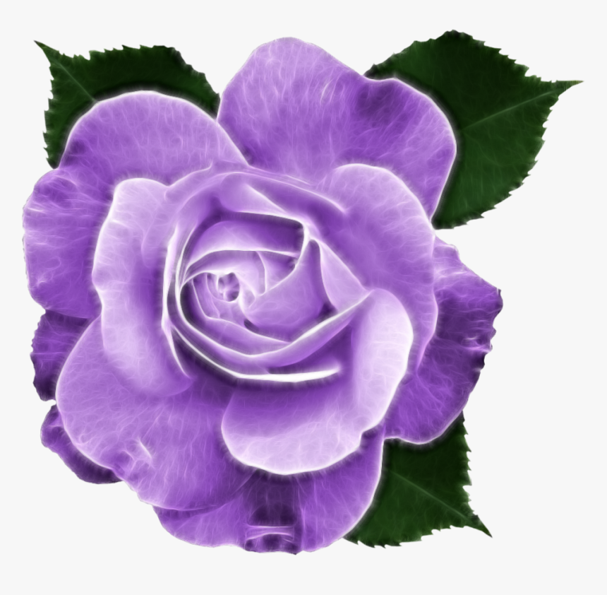 Pink Camellia Png, Transparent Png