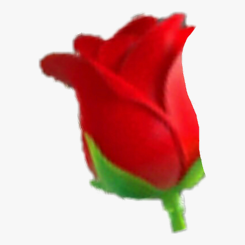 #iphoneemoji - Rose, HD Png Download