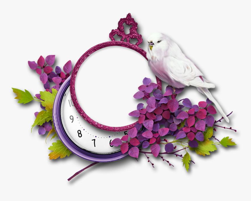 Film Frame, HD Png Download