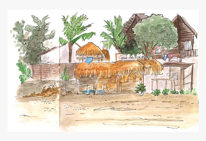 Attalea Speciosa, HD Png Download