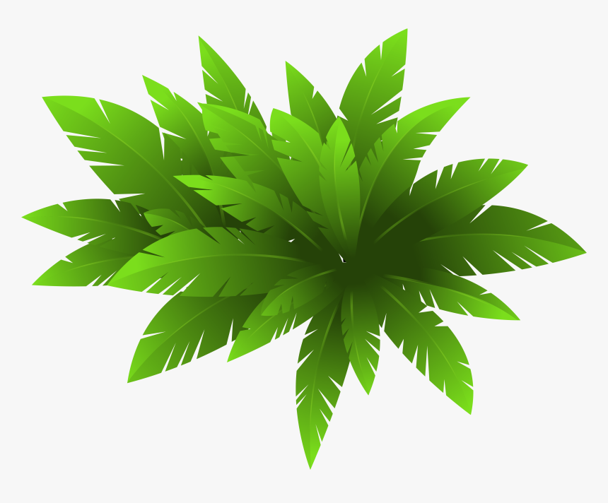 Green Plant Decoration Png Clipart Image - Illustrator Plant, Transparent Png