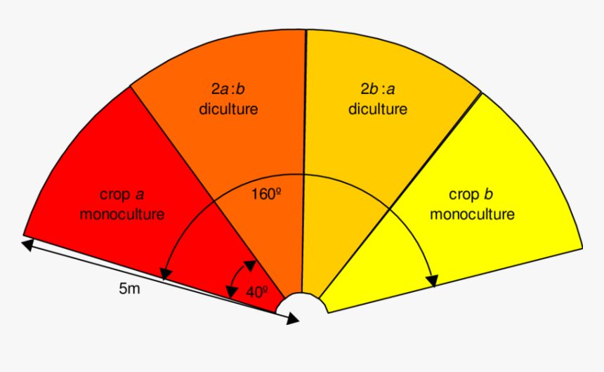 Diagram, HD Png Download