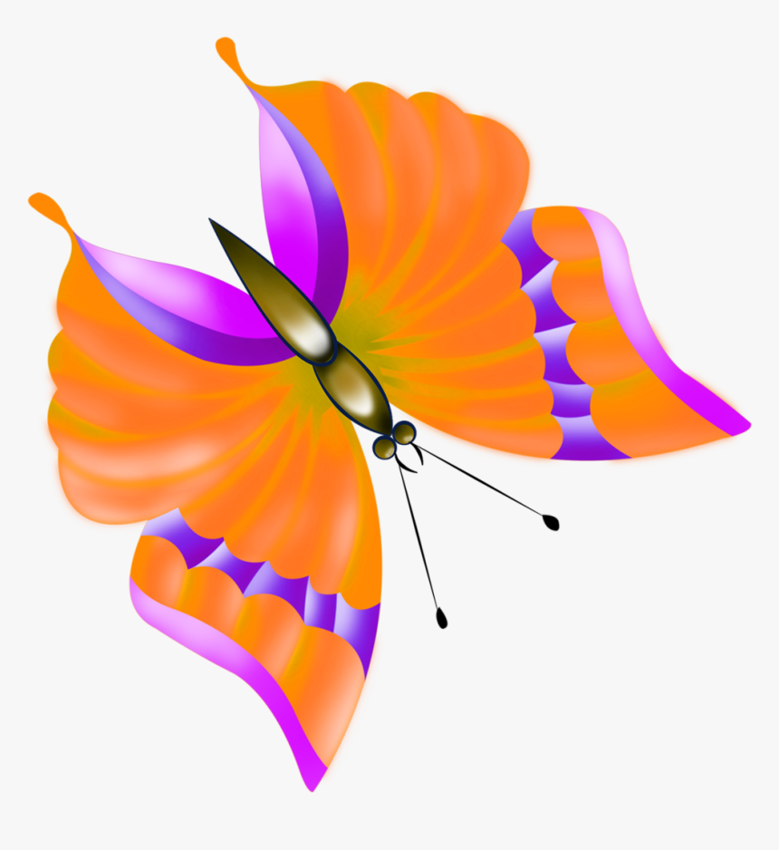 Butterfly, HD Png Download
