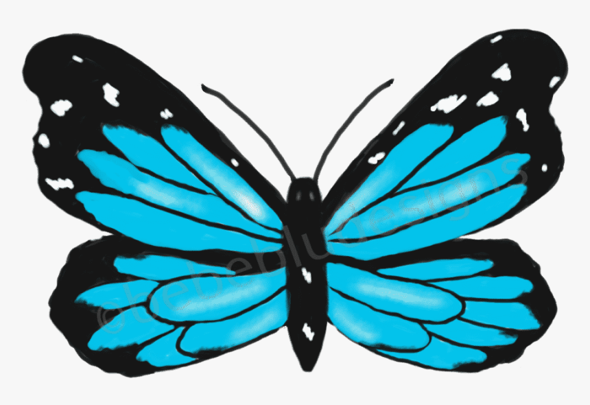 Morpho Blue Butterfly - Limenitis, HD Png Download