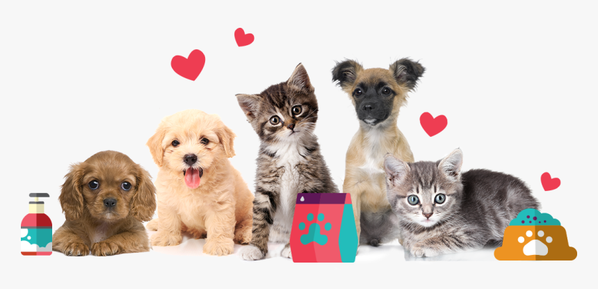 National Pet Memorial Day 2019, HD Png Download