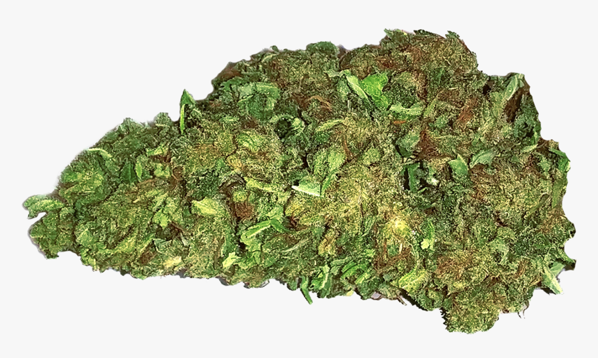 Moss, HD Png Download