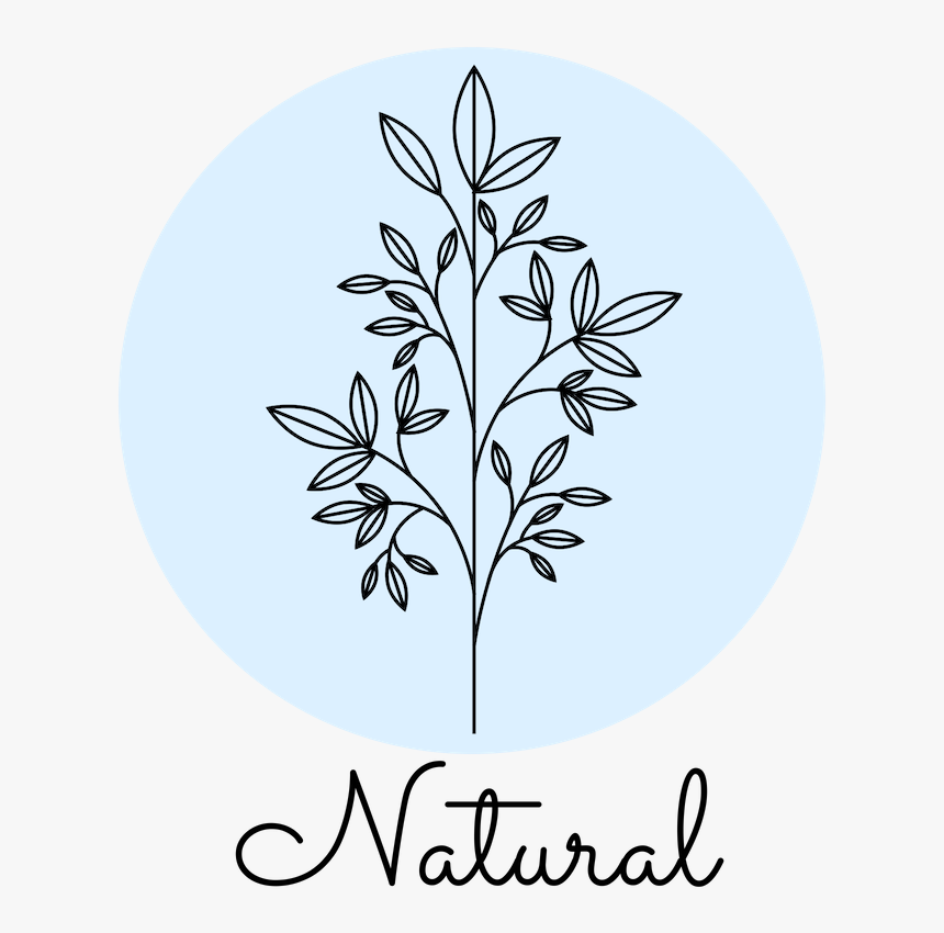 Floral Design, HD Png Download