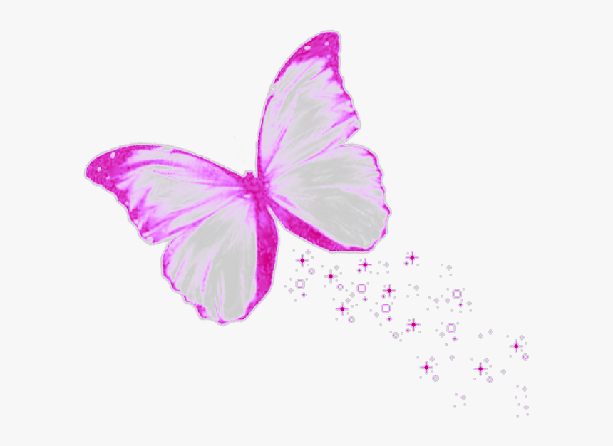 #fly #volando #libre #ftestickers #stickers #autocollants - Pieridae, HD Png Download