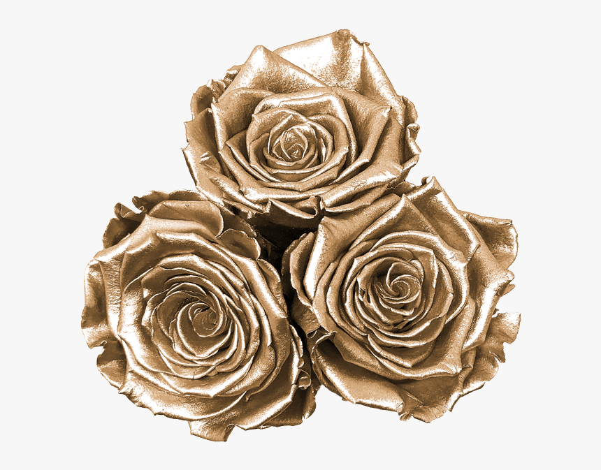Floribunda, HD Png Download