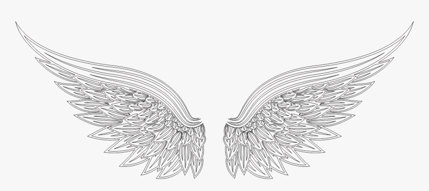 Plain - Green Wings Png, Transparent Png